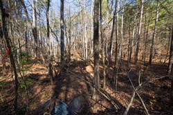 property photo for Pine Ridge Tract 11, 6.21 acres for sale in Decatur County, Tennessee