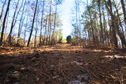 property photo for Pine Ridge Tract 11, 6.21 acres for sale in Decatur County, Tennessee