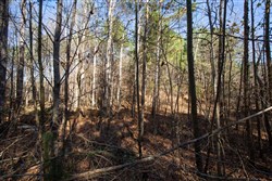 property photo for Pine Ridge Tract 11, 6.21 acres for sale in Decatur County, Tennessee