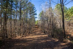 property photo for Pine Ridge Tract 11, 6.21 acres for sale in Decatur County, Tennessee