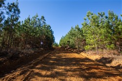 Pine Ridge Tract 9