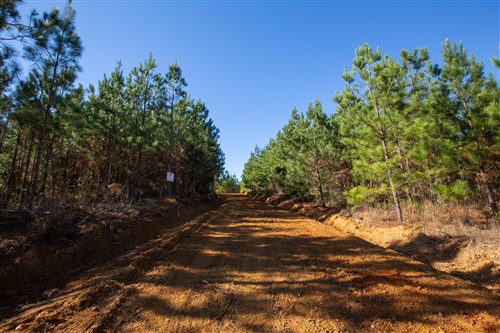 Pine Ridge Tract 9