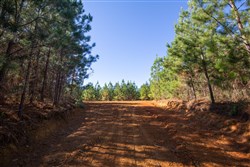 Pine Ridge Tract 9