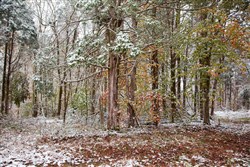 property photo for Sweet Water Ranch Tract 13, 5.1 acres for sale in Decatur County, Tennessee