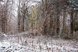 property photo for Sweet Water Ranch Tract 13, 5.1 acres for sale in Decatur County, Tennessee