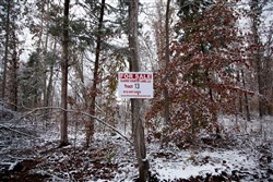 property photo for Sweet Water Ranch Tract 13, 5.1 acres for sale in Decatur County, Tennessee