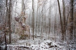 Sweet Water Ranch Tract 17