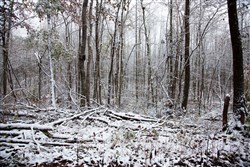 Sweet Water Ranch Tract 17