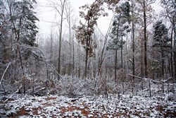 Sweet Water Ranch Tract 17