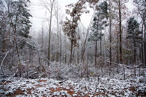 Sweet Water Ranch Tract 17