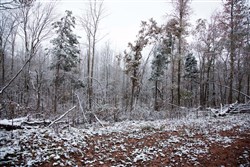 Sweet Water Ranch Tract 17