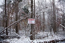 Sweet Water Ranch Tract 17