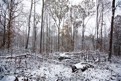 Sweet Water Ranch Tract 17