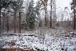 Sweet Water Ranch Tract 26