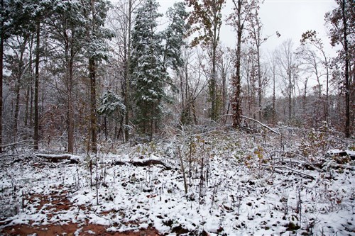 Sweet Water Ranch Tract 26