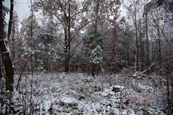 Sweet Water Ranch Tract 26