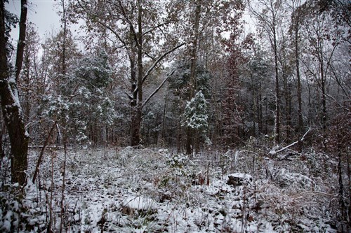 Sweet Water Ranch Tract 26