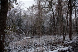 Sweet Water Ranch Tract 26