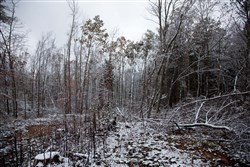 Sweet Water Ranch Tract 26