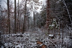 Sweet Water Ranch Tract 26
