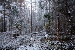 Sweet Water Ranch Tract 27