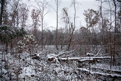 Sweet Water Ranch Tract 27