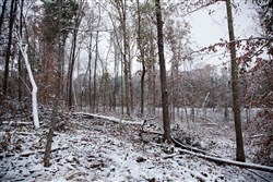 Sweet Water Ranch Tract 27