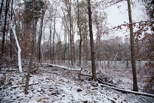 Sweet Water Ranch Tract 27