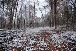 Sweet Water Ranch Tract 27