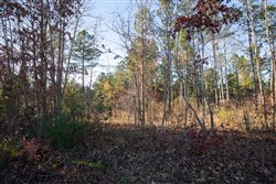 Whetstone Pines Tract 5