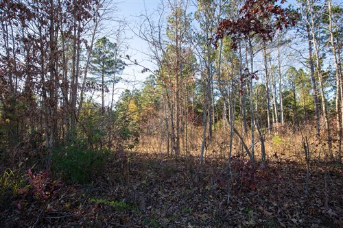 Whetstone Pines Tract 5