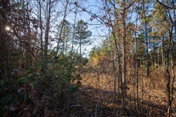 Whetstone Pines Tract 5