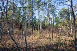 Whetstone Pines Tract 5