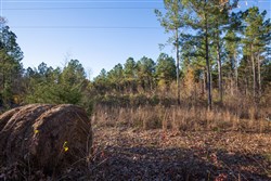 Whetstone Pines Tract 6