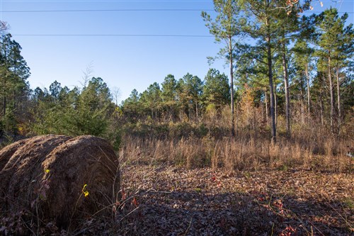 Whetstone Pines Tract 6