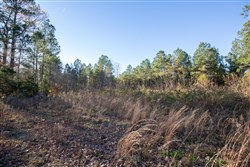Whetstone Pines Tract 6