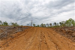 Twin Rivers Tract 10