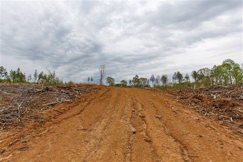 Twin Rivers Tract 10