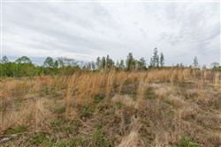 Twin Rivers Tract 10
