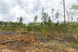 Twin Rivers Tract 10