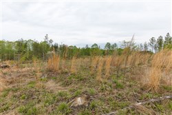Twin Rivers Tract 10