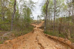 Twin Rivers Tract 11