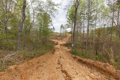 Twin Rivers Tract 11