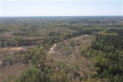 Twin Rivers Tract 11