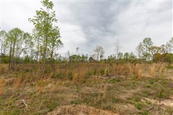 Twin Rivers Tract 11