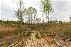 Twin Rivers Tract 11