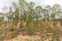 Twin Rivers Tract 11