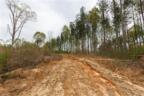 Twin Rivers Tract 12
