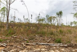 Twin Rivers Tract 12