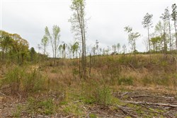 Twin Rivers Tract 12